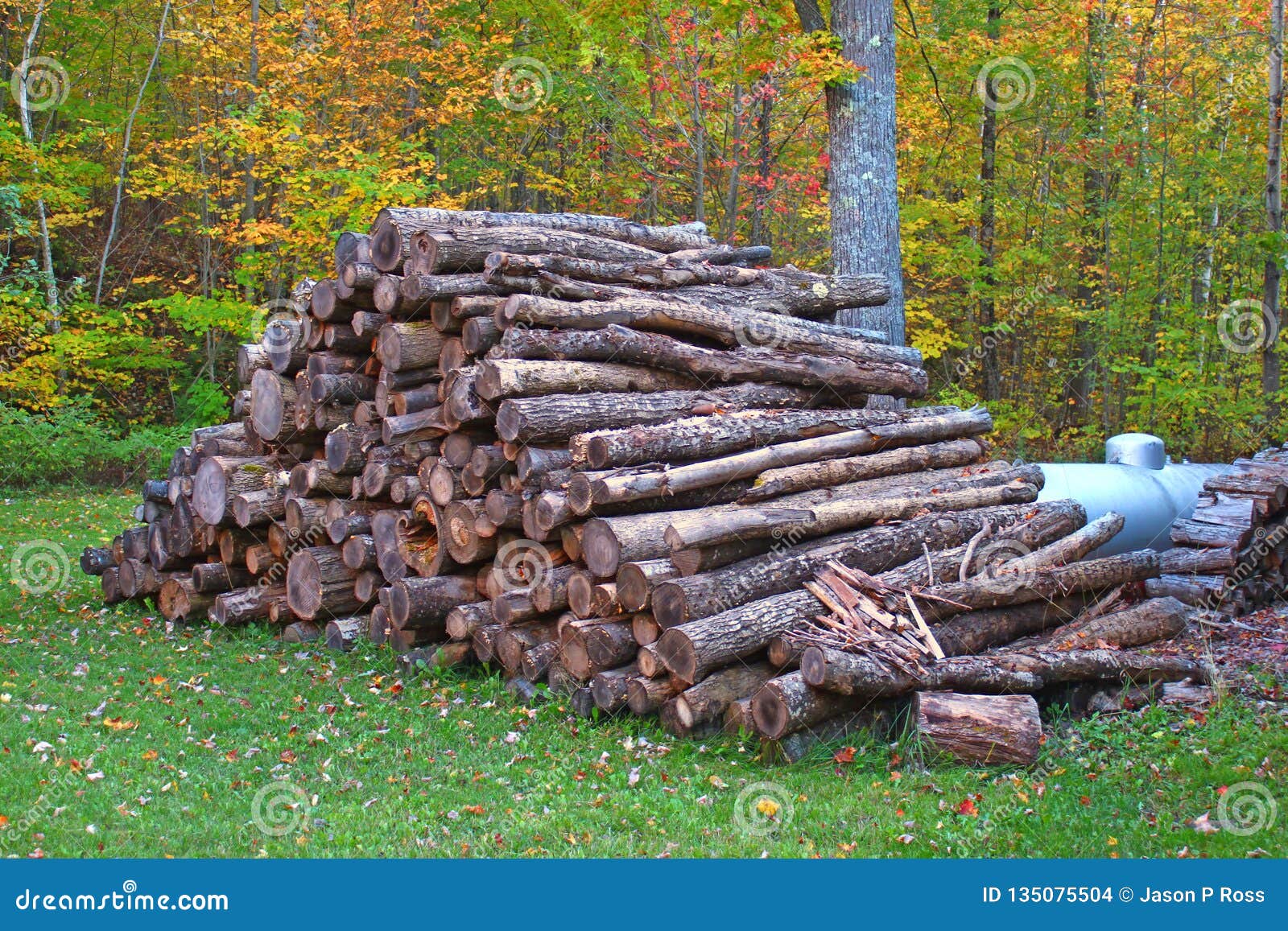 Firewood Stack stock photo. Image of fuel, nature, logs 135075504