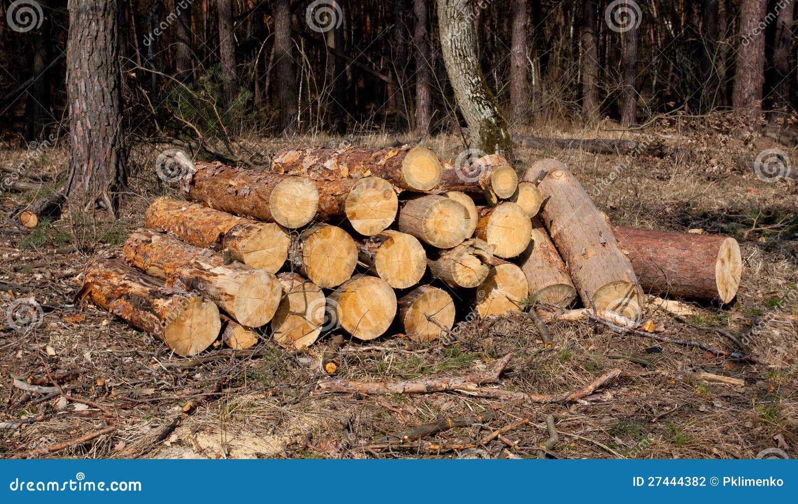 Firewood store stock photo. Image of flame, stack, industry 27444382