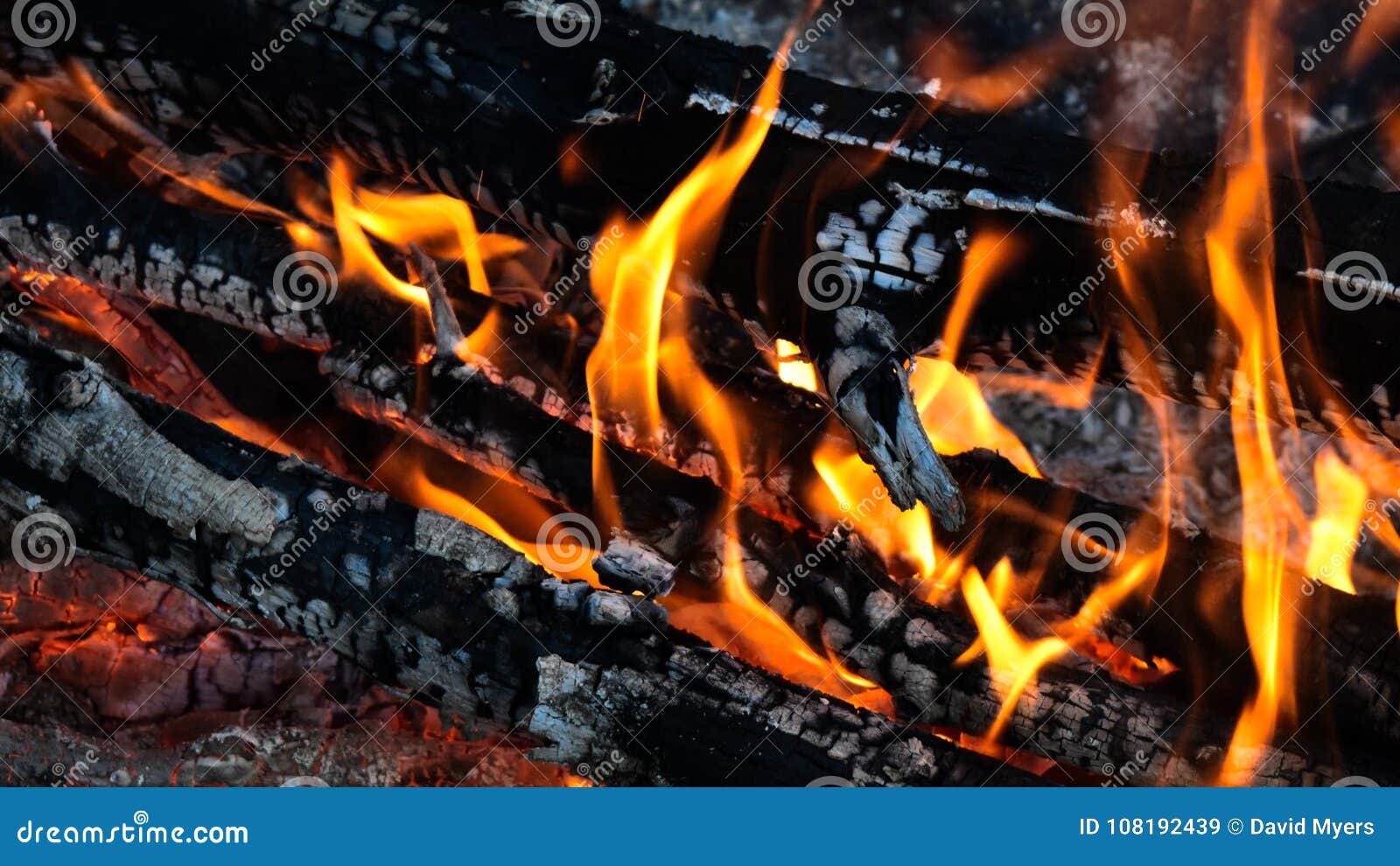 Firewood Texture, Youtube Channel Art Banner Stock Image - Image of 2560,  campfire: 108192439