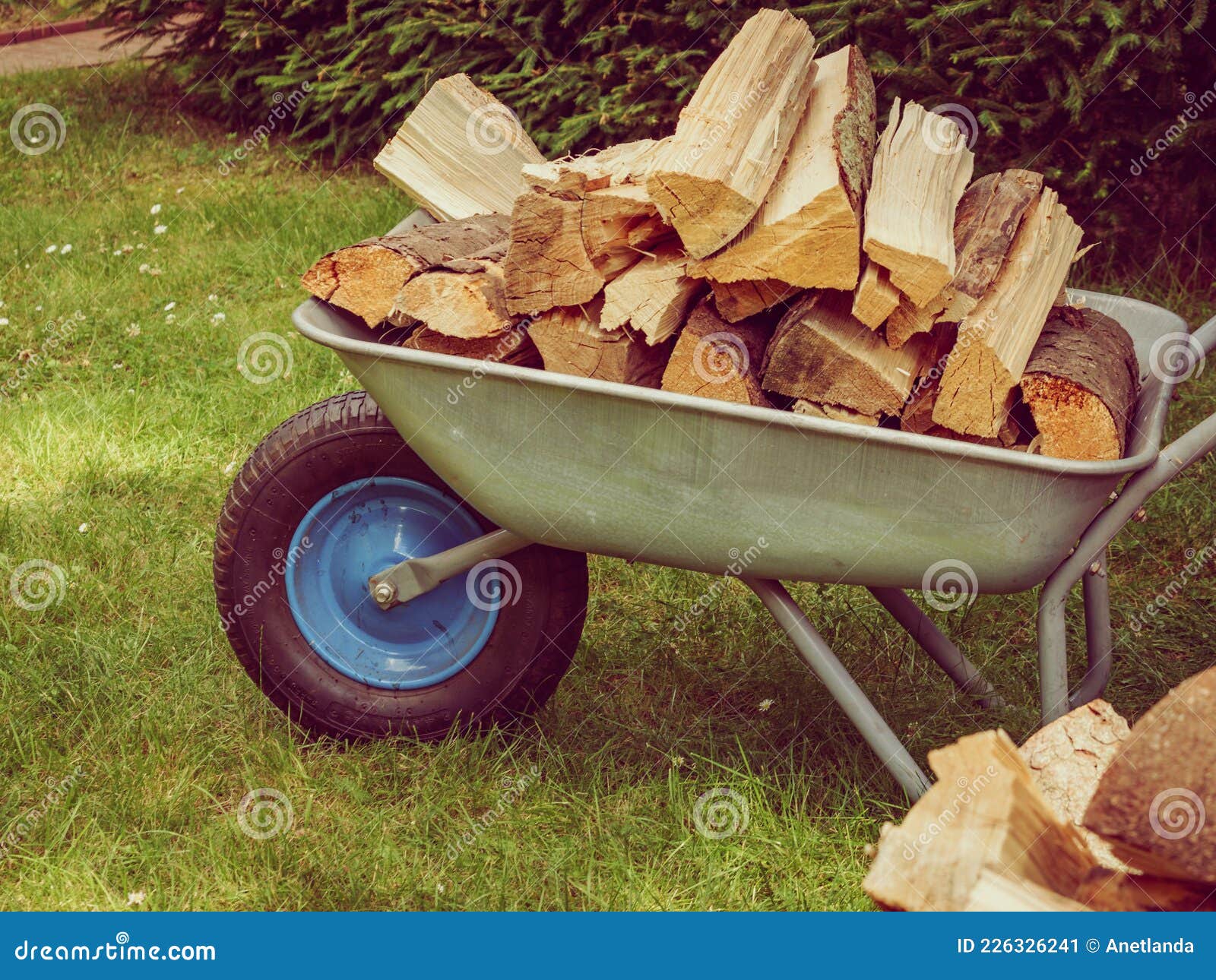 Firewood and wheelbarrow stock image. Image of woodpile - 226326241