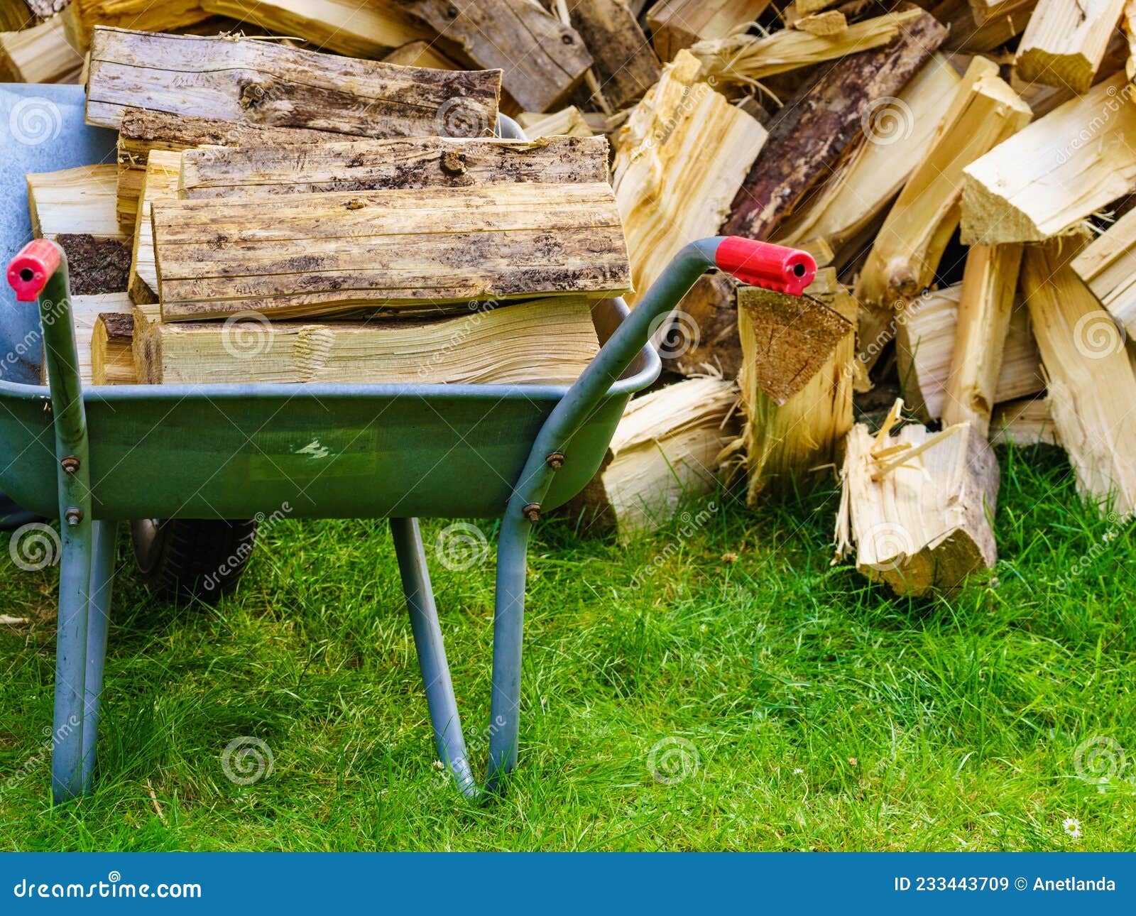 Firewood and wheelbarrow stock image. Image of outside - 233443709