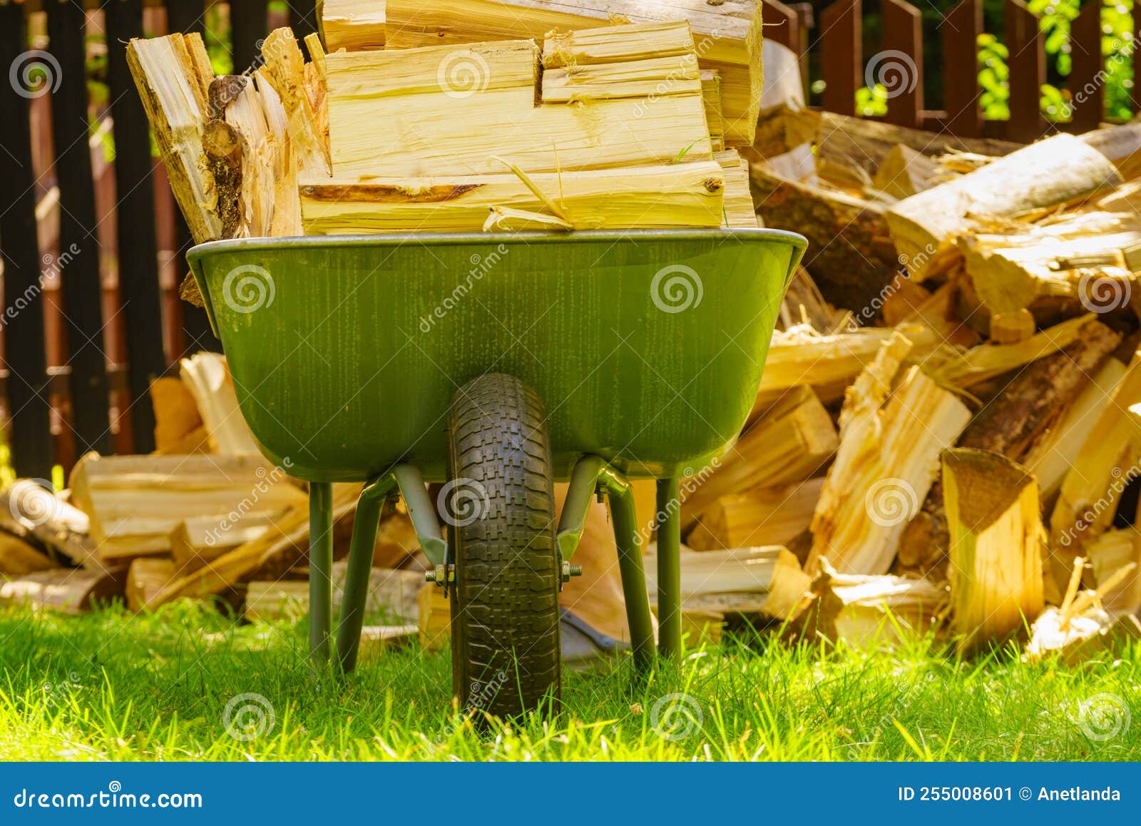 Firewood and wheelbarrow stock image. Image of wheelbarrow - 255008601