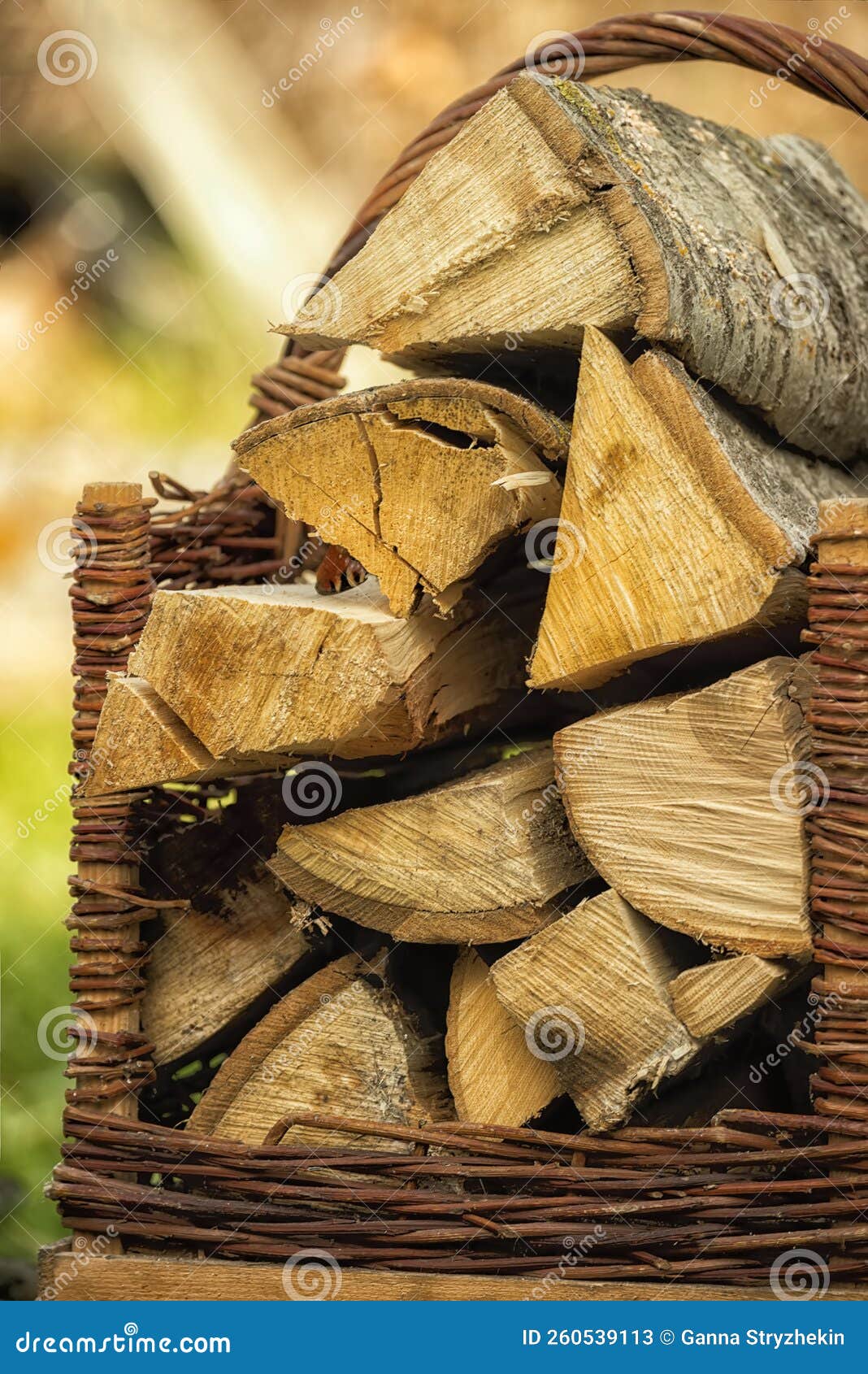 Firewood in a Wicker Basket. Preparing for the Cold Winter Stock Image