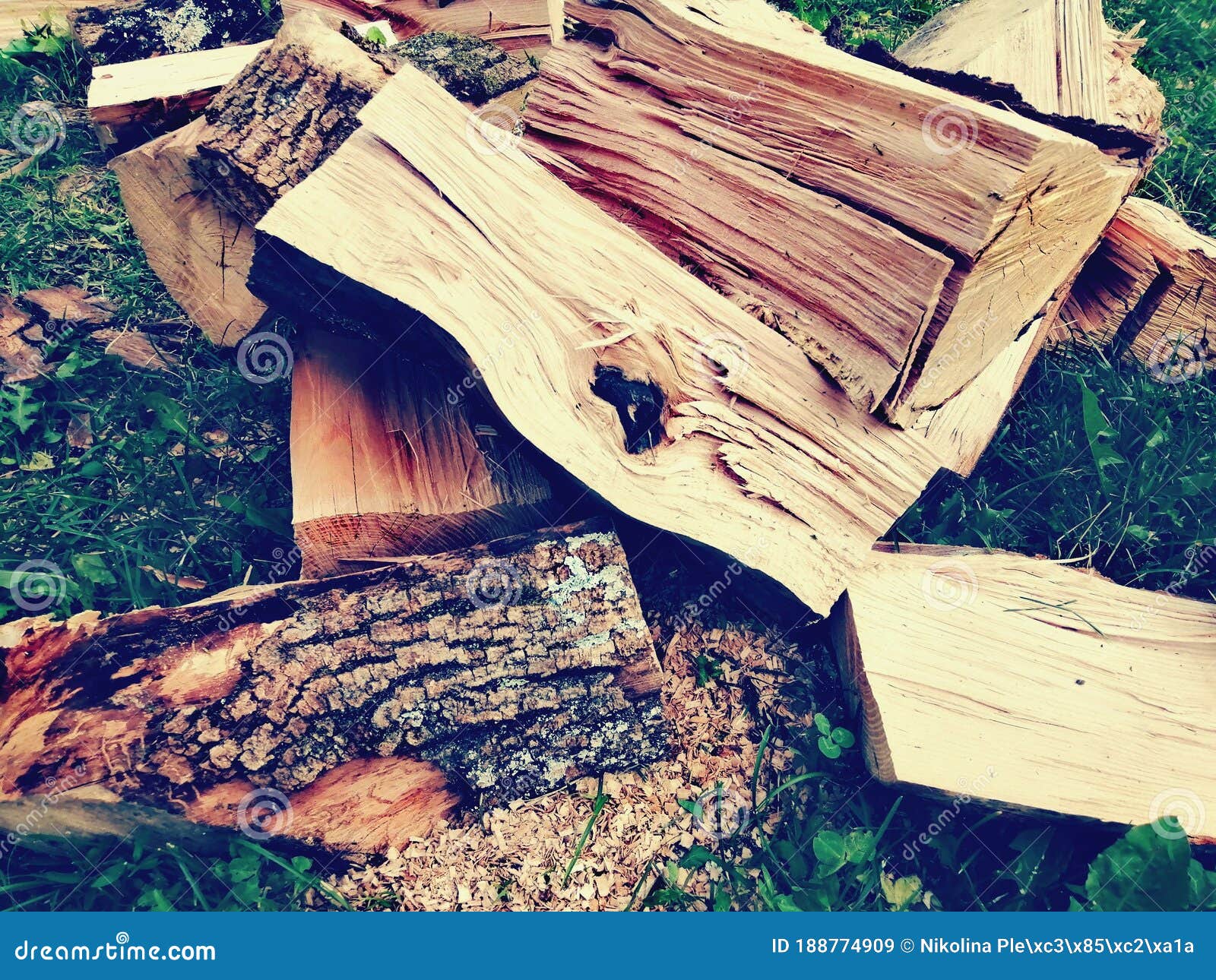 Firewood in the yard stock image. Image of geology, formation 188774909
