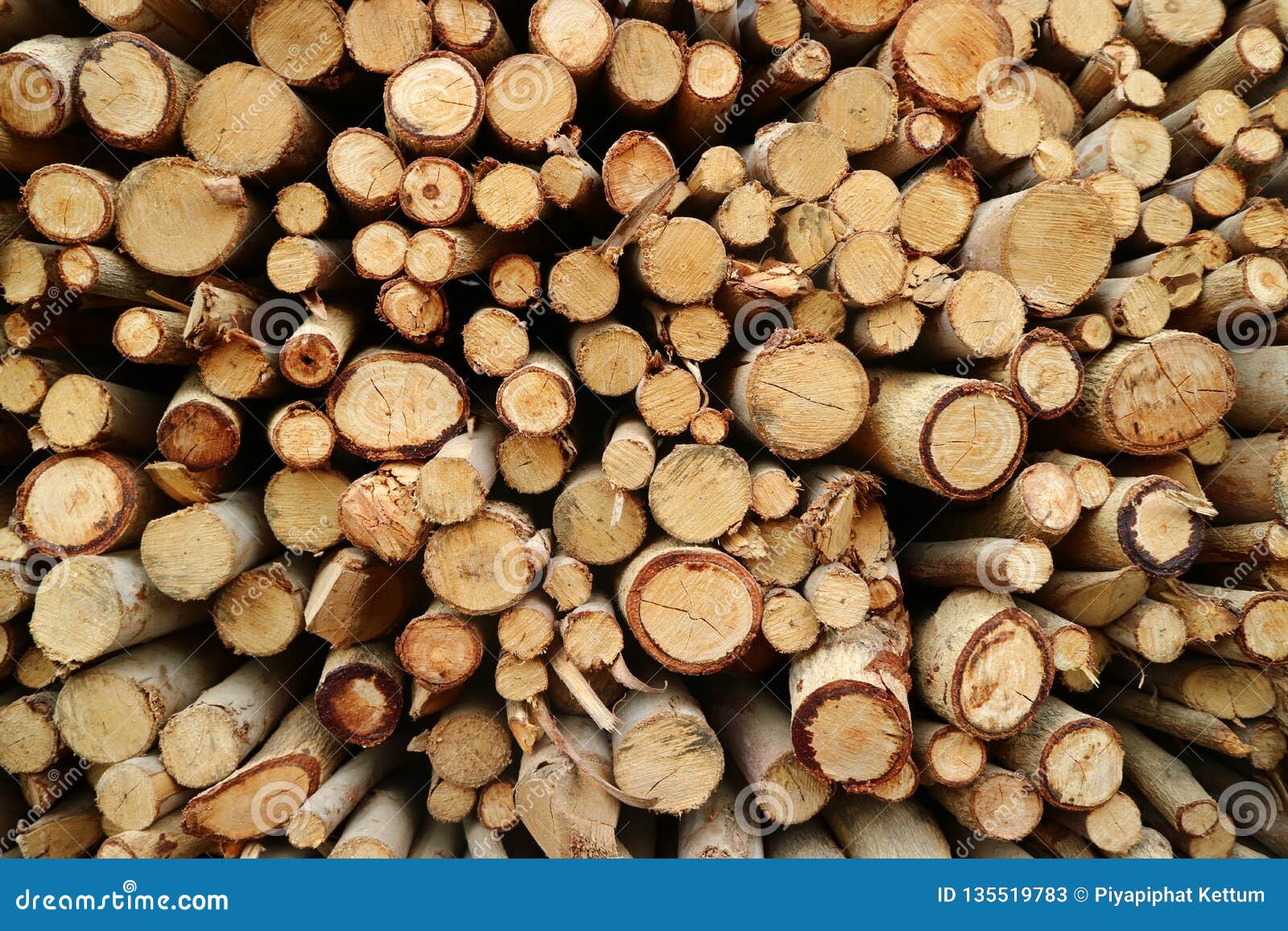 The wall stock image. Image of tree, eucalyptus, firewoods 135519783