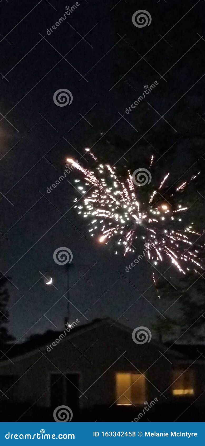 Firework night skies stock photo. Image of recreation 163342458