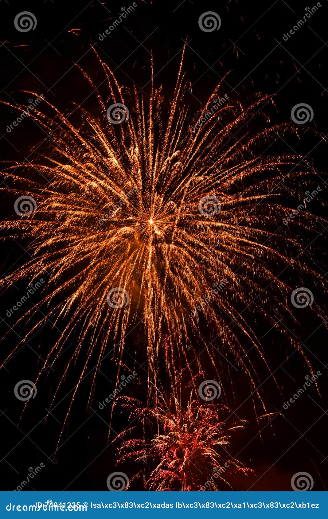 fireworks-fuegos artificiales