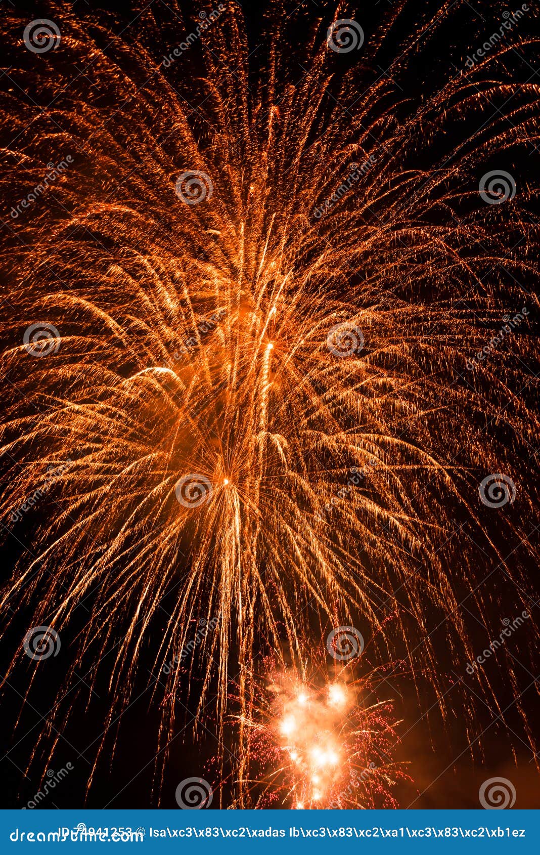 fireworks-fuegos artificiales