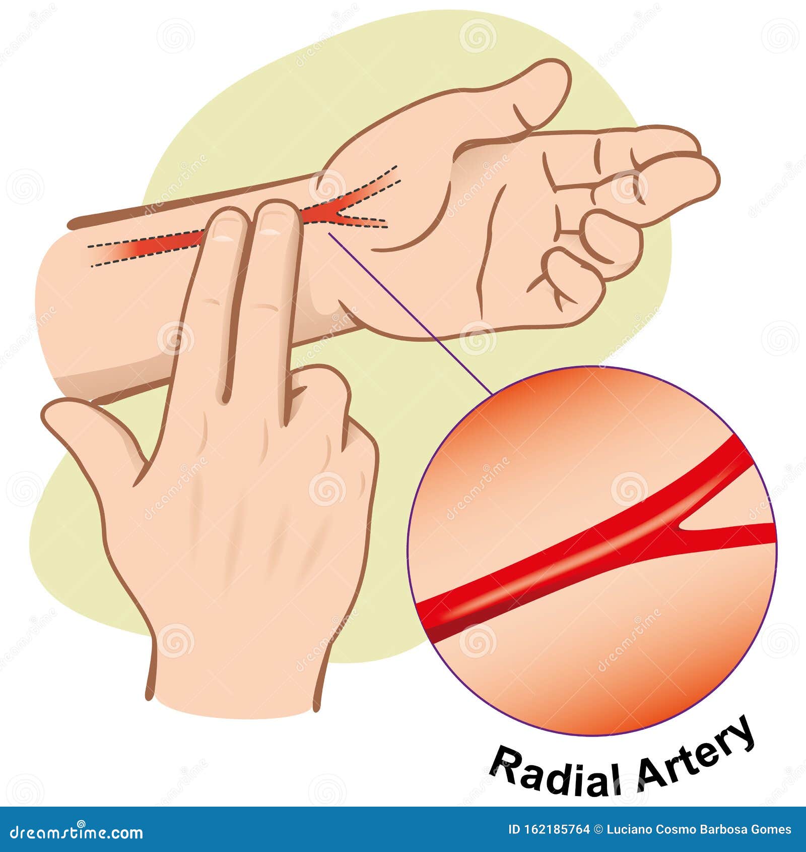 first aid  person measuring pulse by artery radial