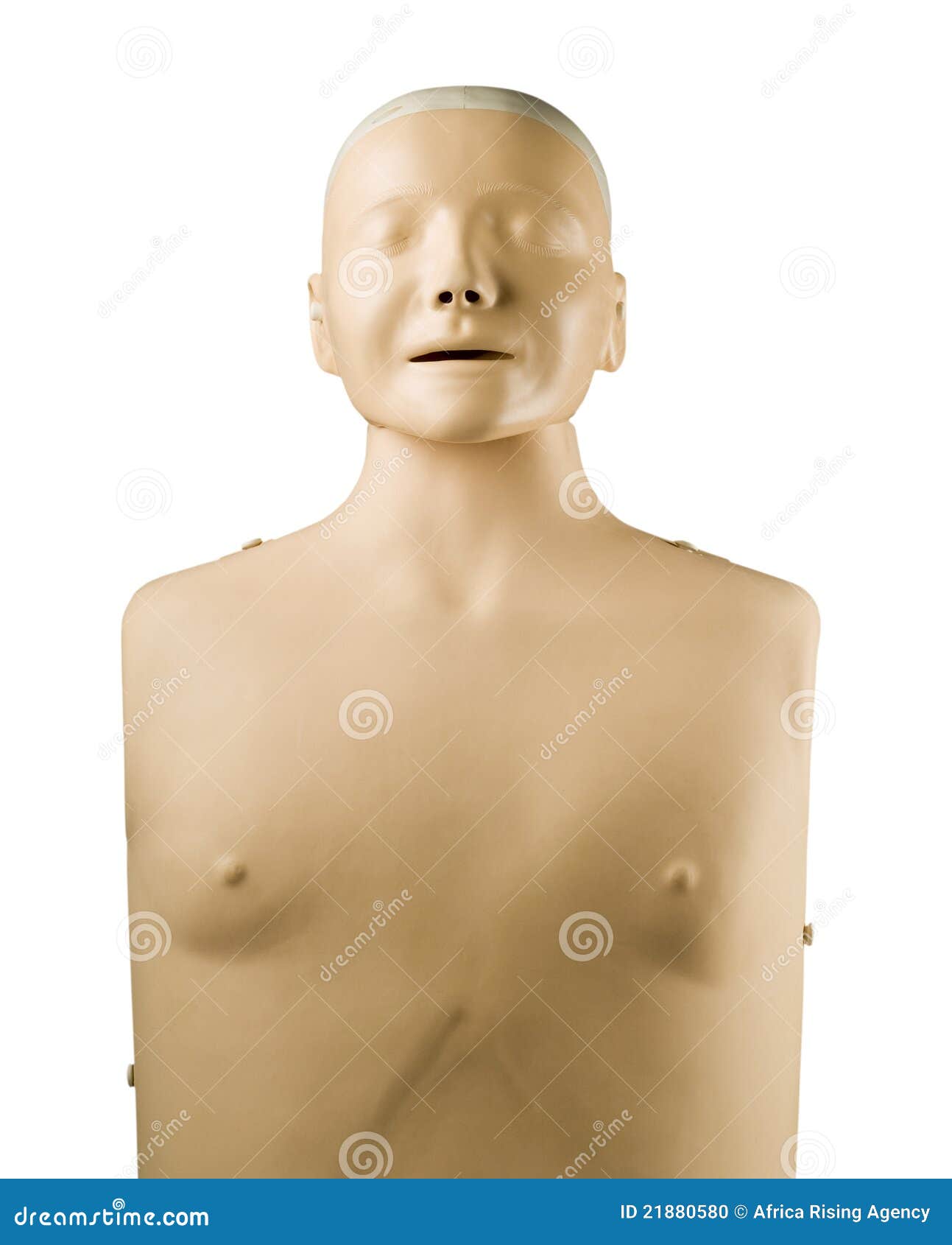 First Aid Medical Mannequin Dummy Stock Photo Image of learning