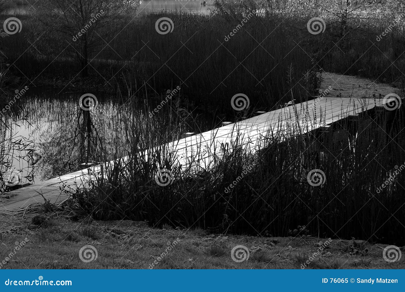 First frost stock image. Image of snow, outside, white, lake 76065