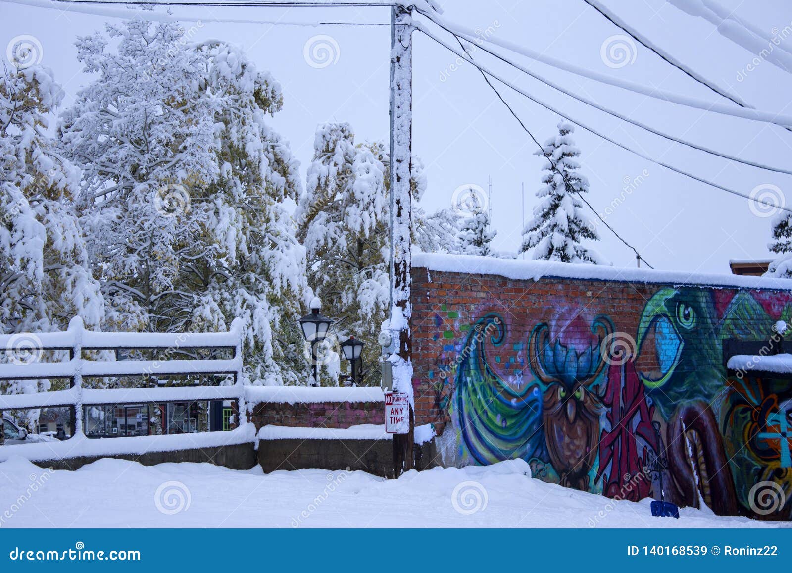 First snow in Leadville editorial stock image. Image of storm 140168539