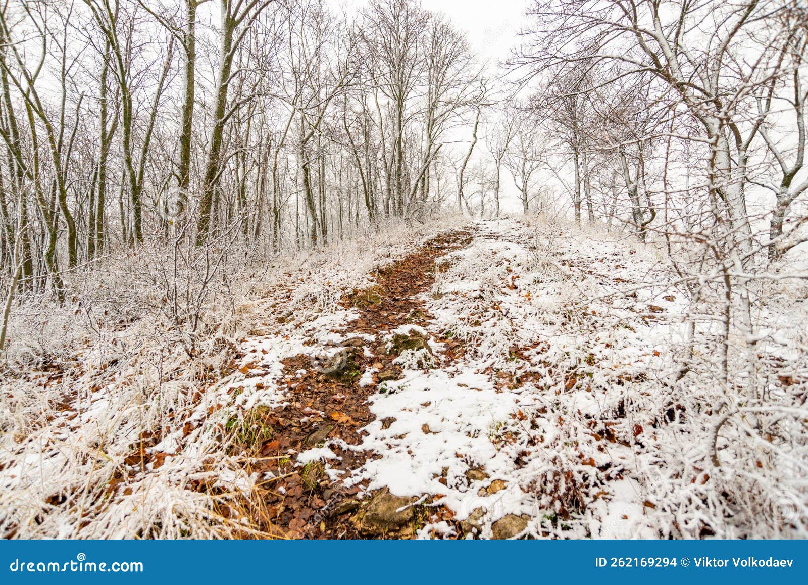 the first snow in the zhigulyovo mountains!