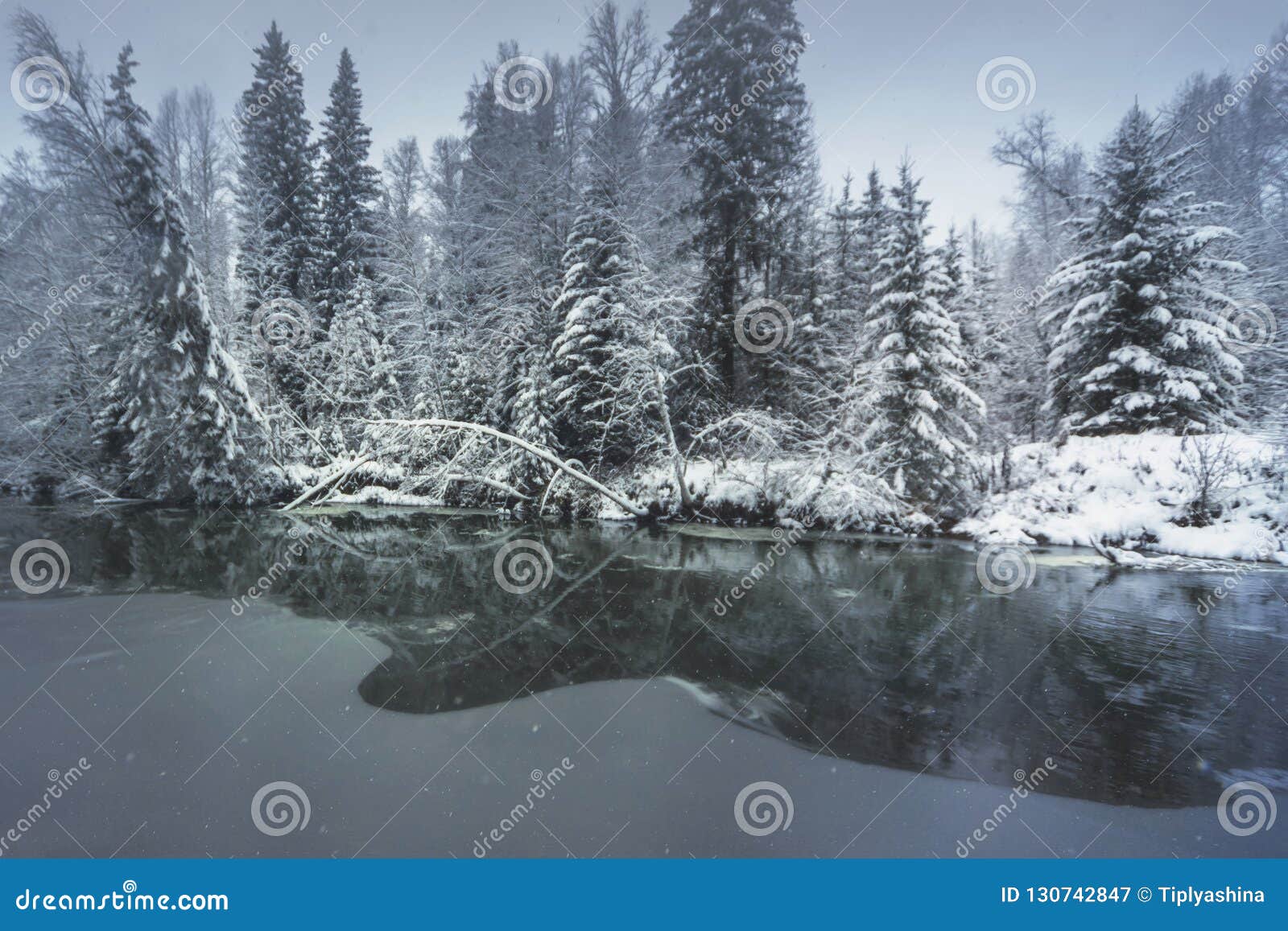 Stock Image Image Of Landscape View Russia Taiga 130742847