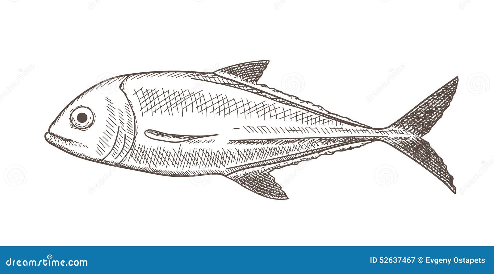 1/3 shading Illustration Skizze abbildung. nahrung von Fisch vektor