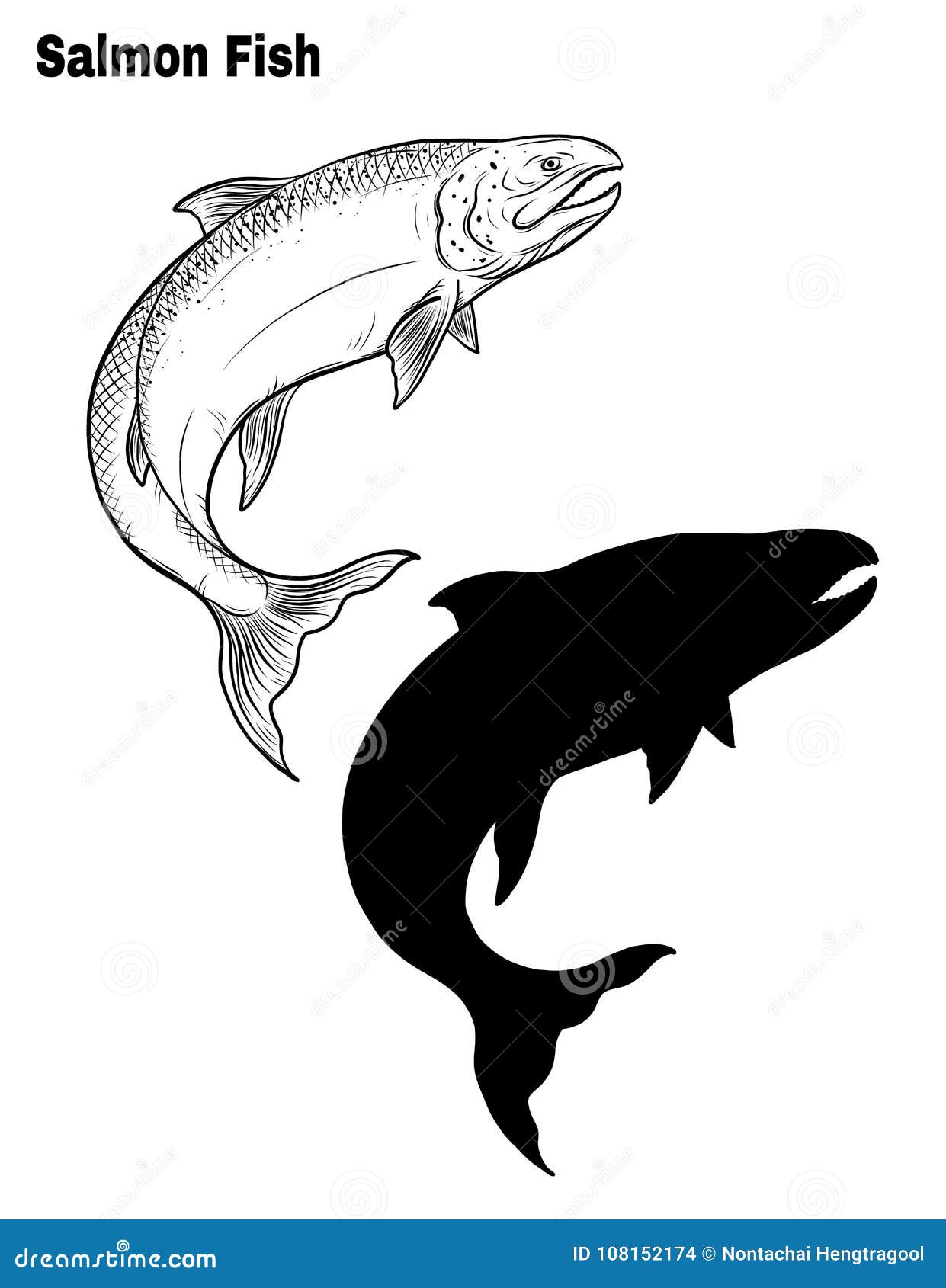 Fische Vector Eigenhandig Zeichnen Vektor Abbildung Illustration Von Vector Eigenhandig