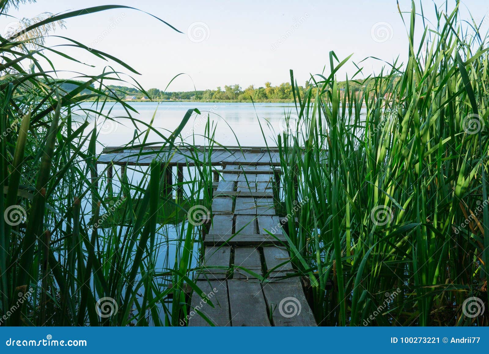 Fischenbrücke in einem Stock am sonnigen Sommertag Landwirtschaftliche Natur