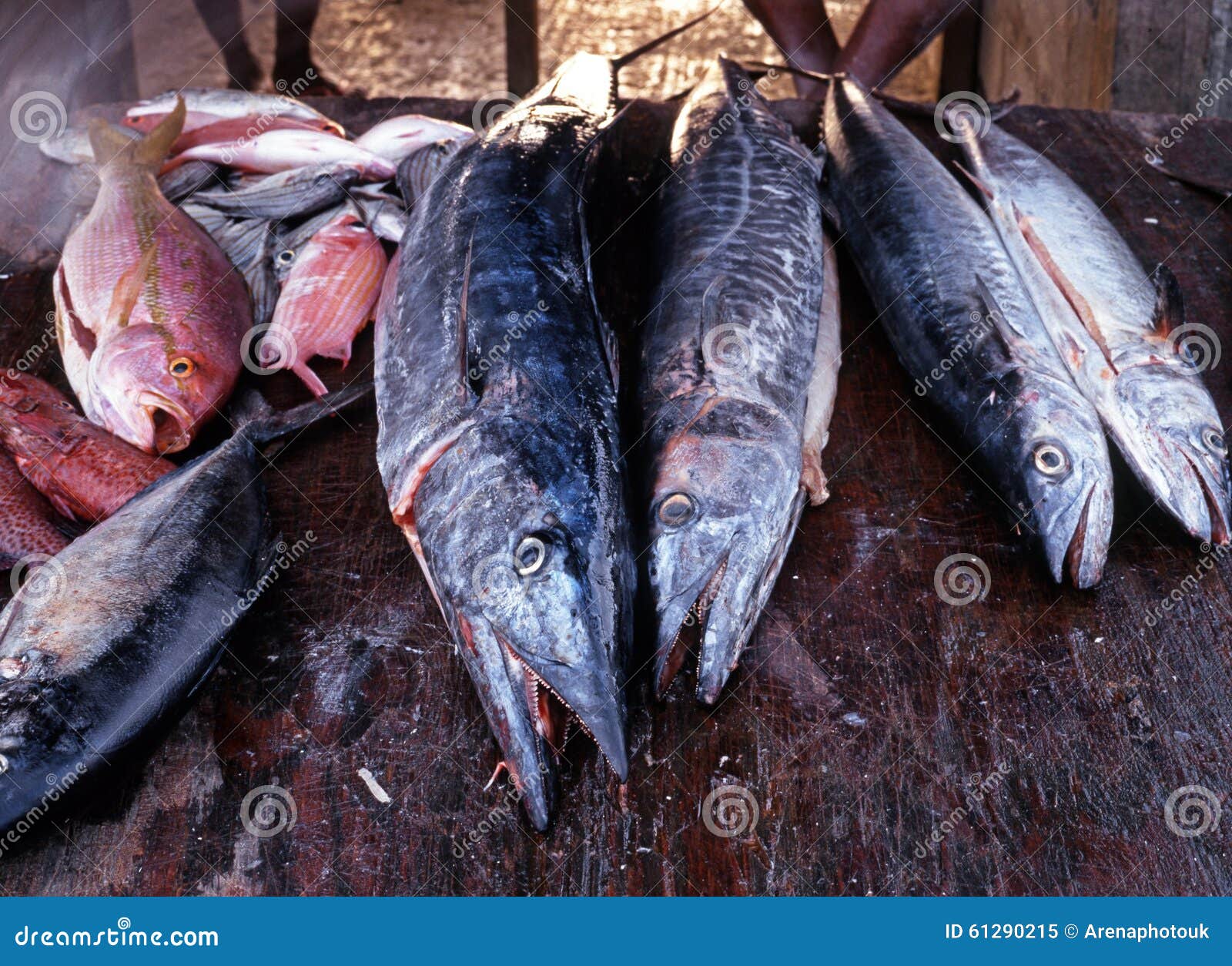 Fischmarktstall, Tobago. Frische Fische auf Anzeige am Fischmarkt, Tobago, Trinidad und Tobago, karibisch