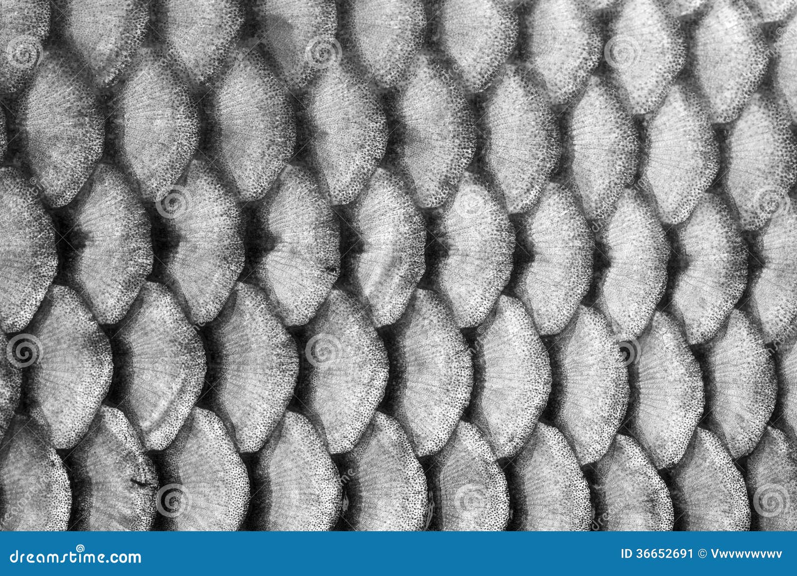 download klingelnberg spiralkegelräder berechnung download klingelnberg