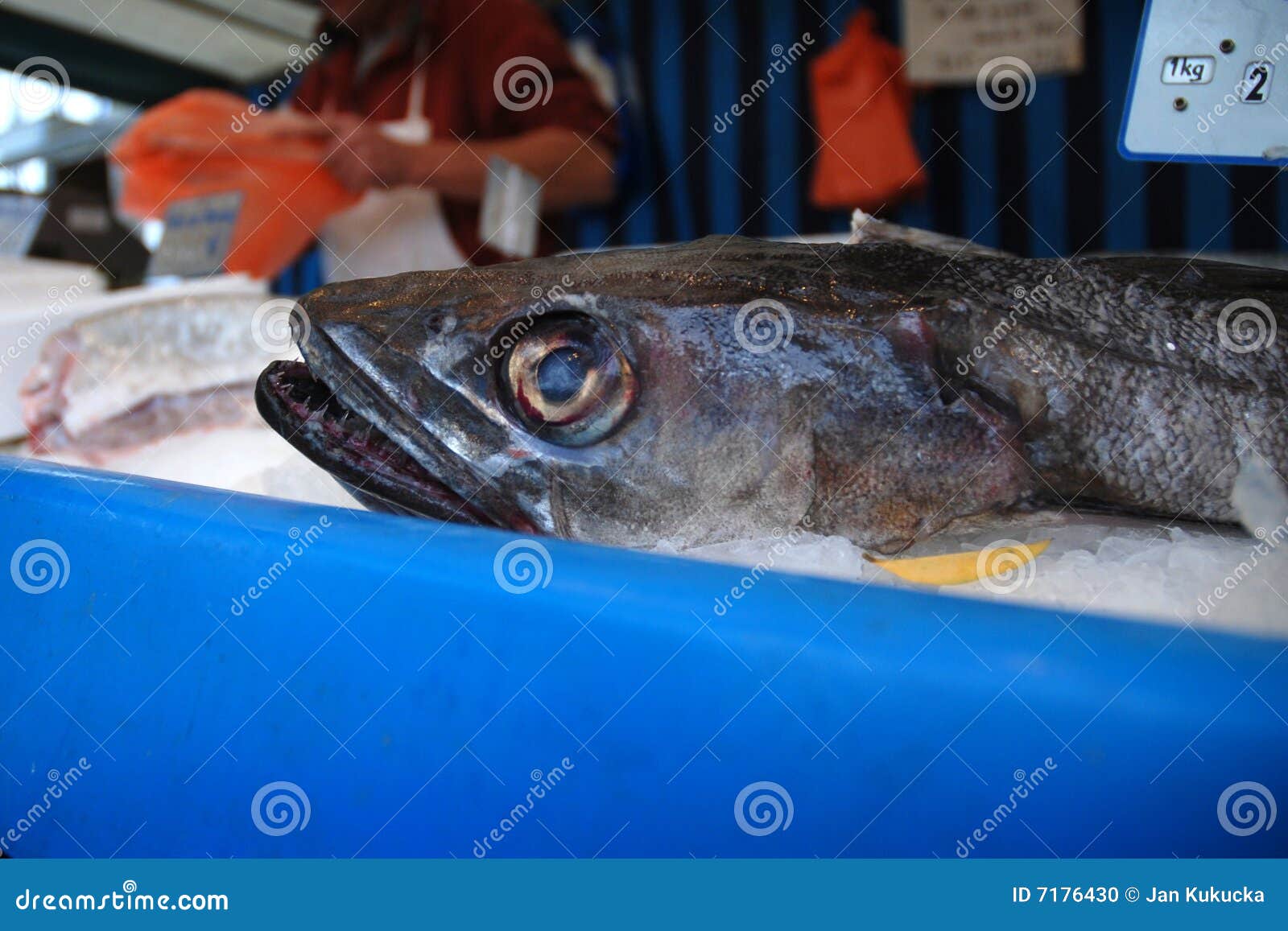 Fish stock photo. Image of fish, dinner, food, health 7176430