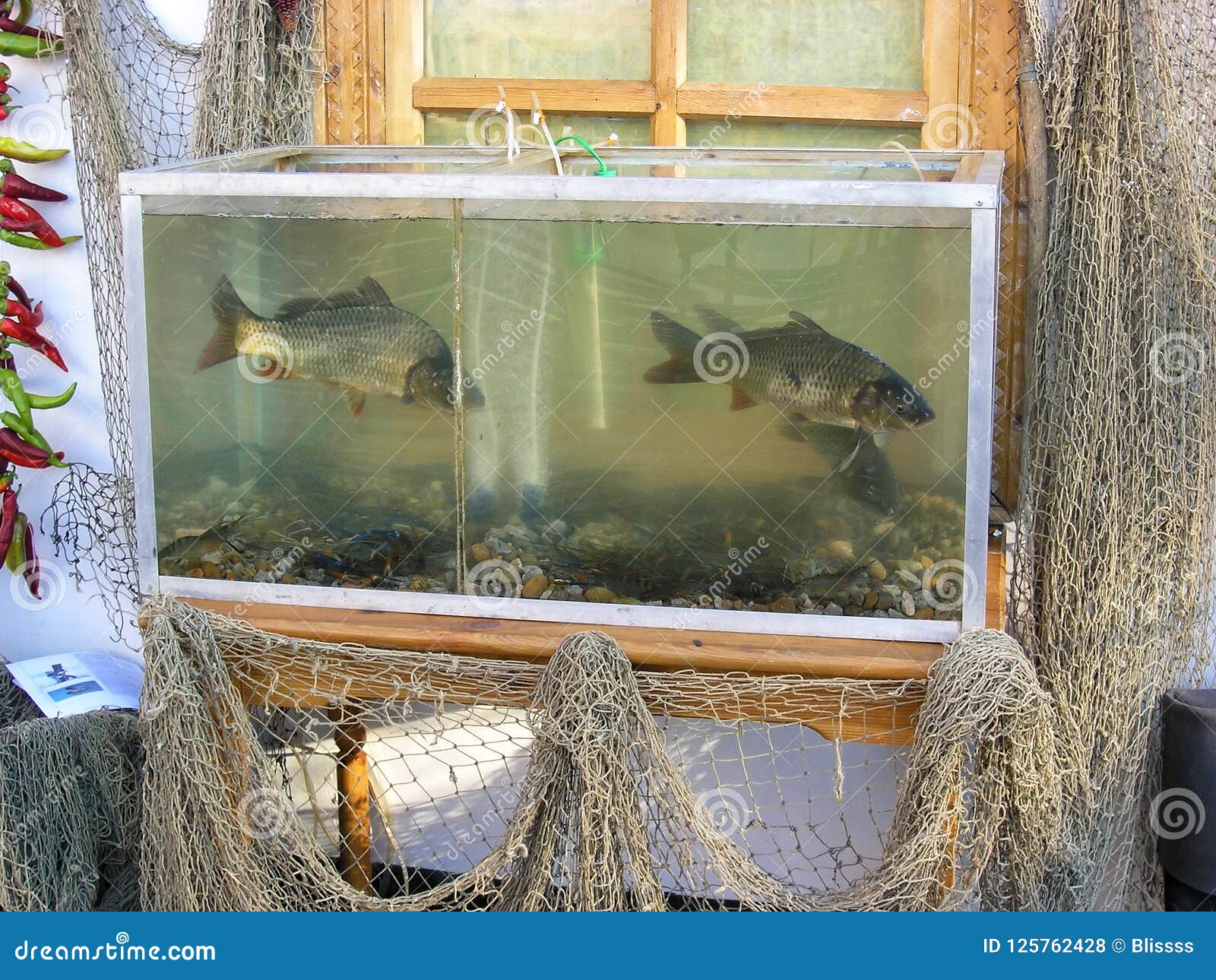 Fish Aquarium and Fishing Nets Used As Peasant`s House Decorations  Imitating Authentic Russian Countryside Life. Rustic Scene Stock Photo -  Image of outdoor, home: 125762428