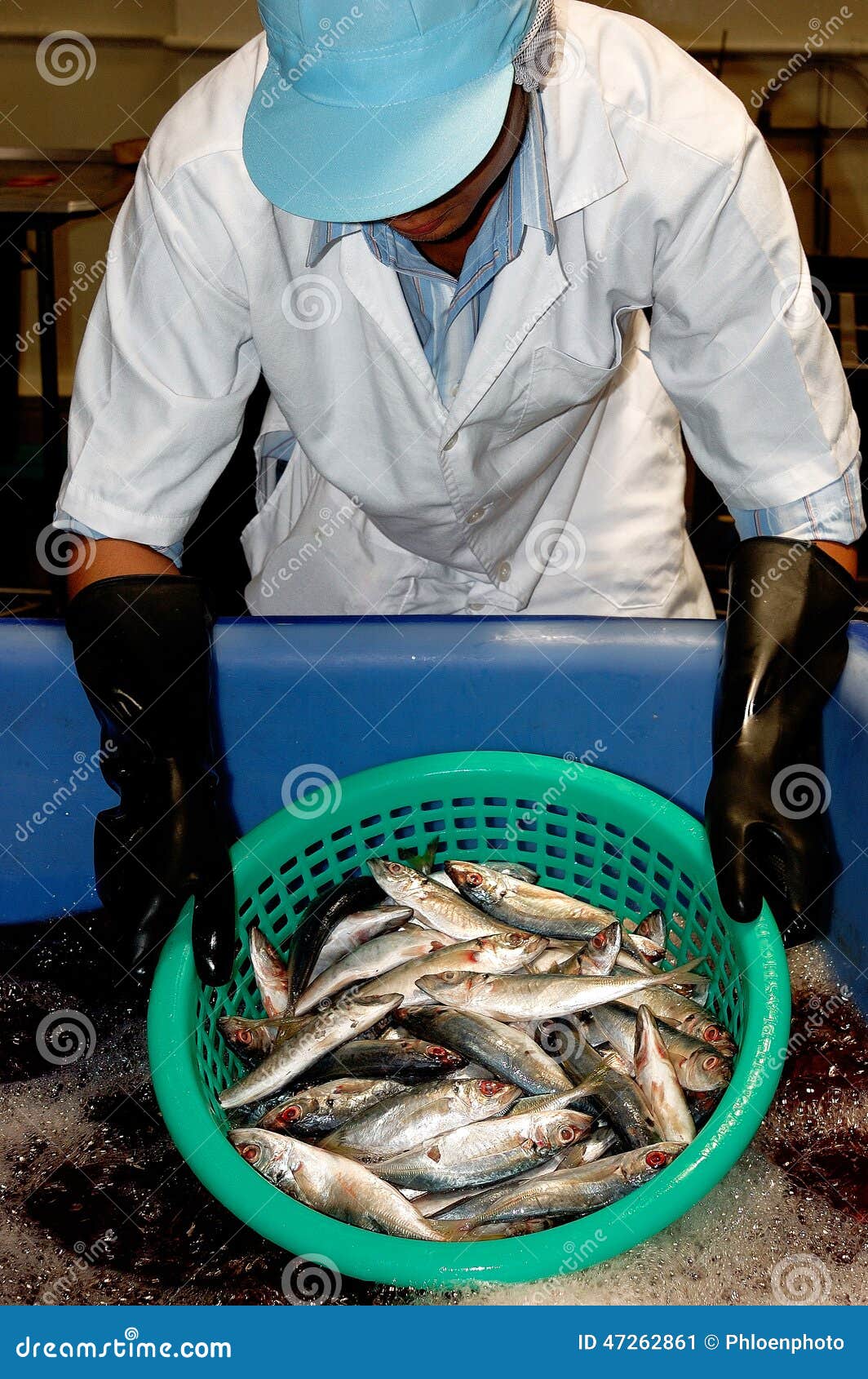 Fish on basket stock image. Image of food, closeup, market 47262861