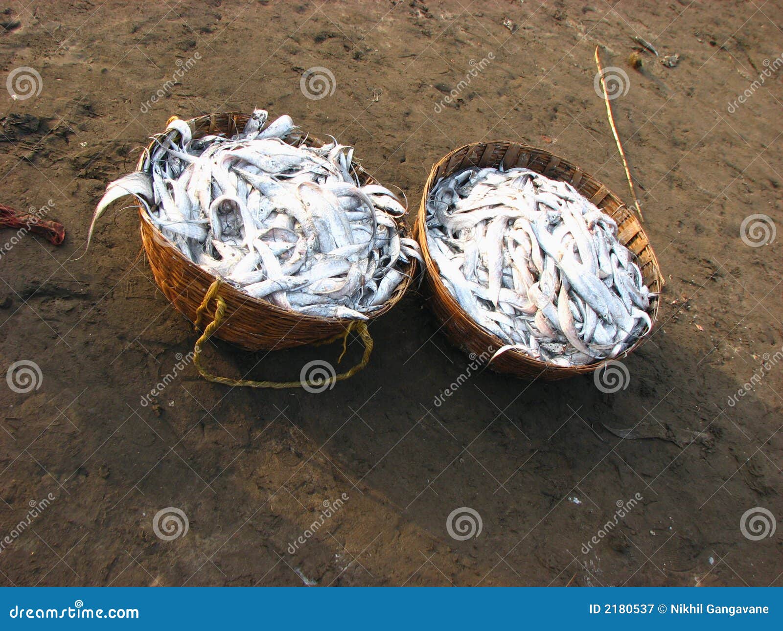 Fish Baskets stock image. Image of colourful, catch, fishes 2180537