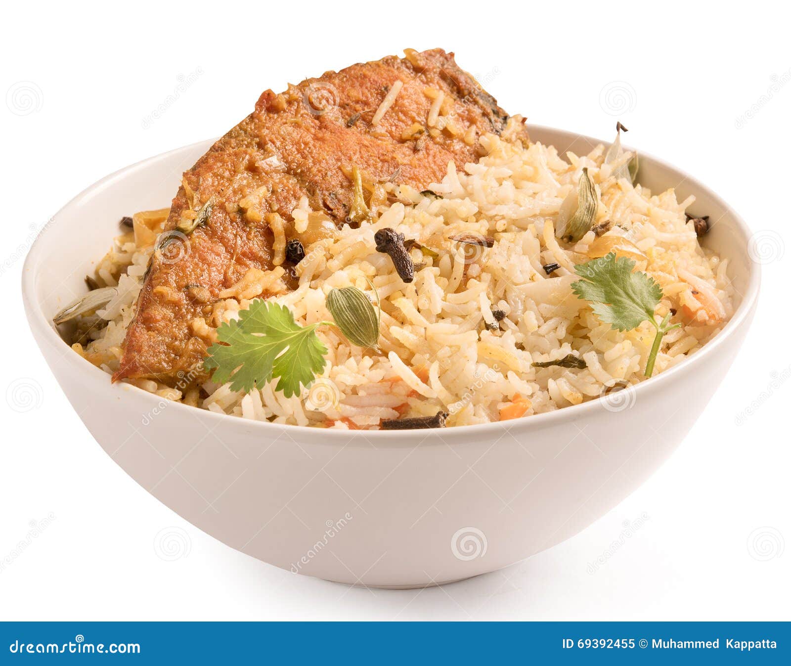Fish Biryani in a White Bowl Stock Image Image of cardamom, biryani