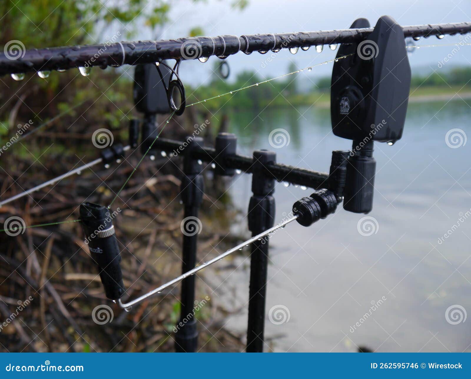 Fish Bite Alarm for Carp Fishing on the Lakeshore Stock Photo