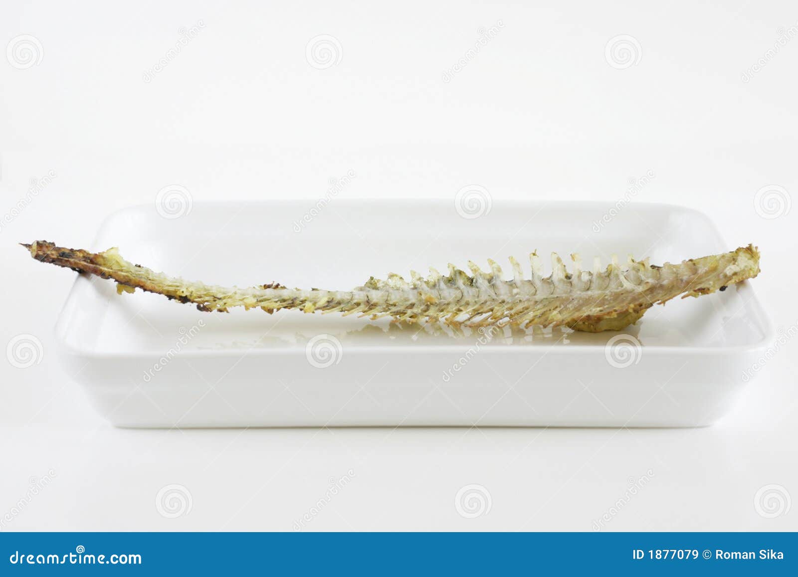 Fishbone stock image. Image of herring, helpful, nutritious 1877079