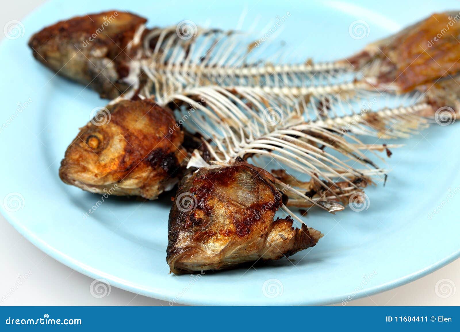 Fish bones stock image. Image of prepared, dish, snack - 11604411