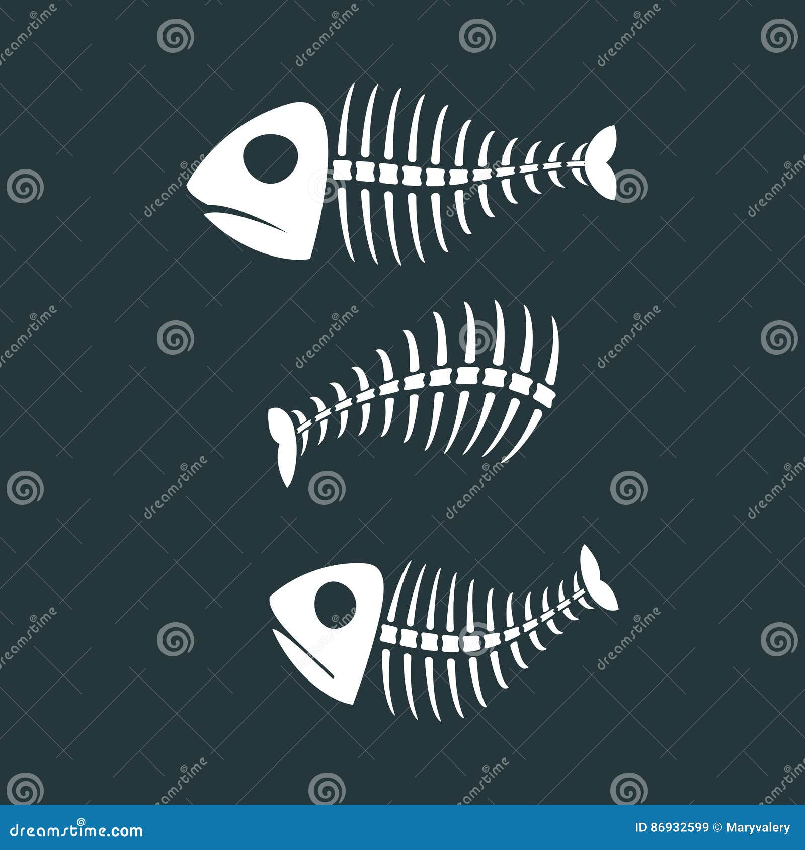 Fish Bones Isolated. Fishy Skeleton On White Background Stock Vector