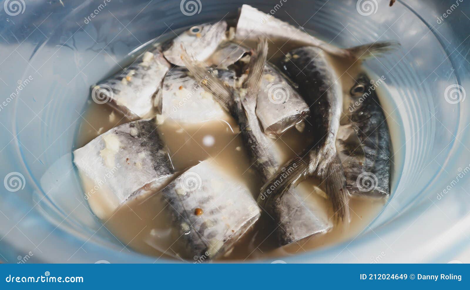 Fish in the Bowl, Ready To Cook Stock Image Image of fish, bowl