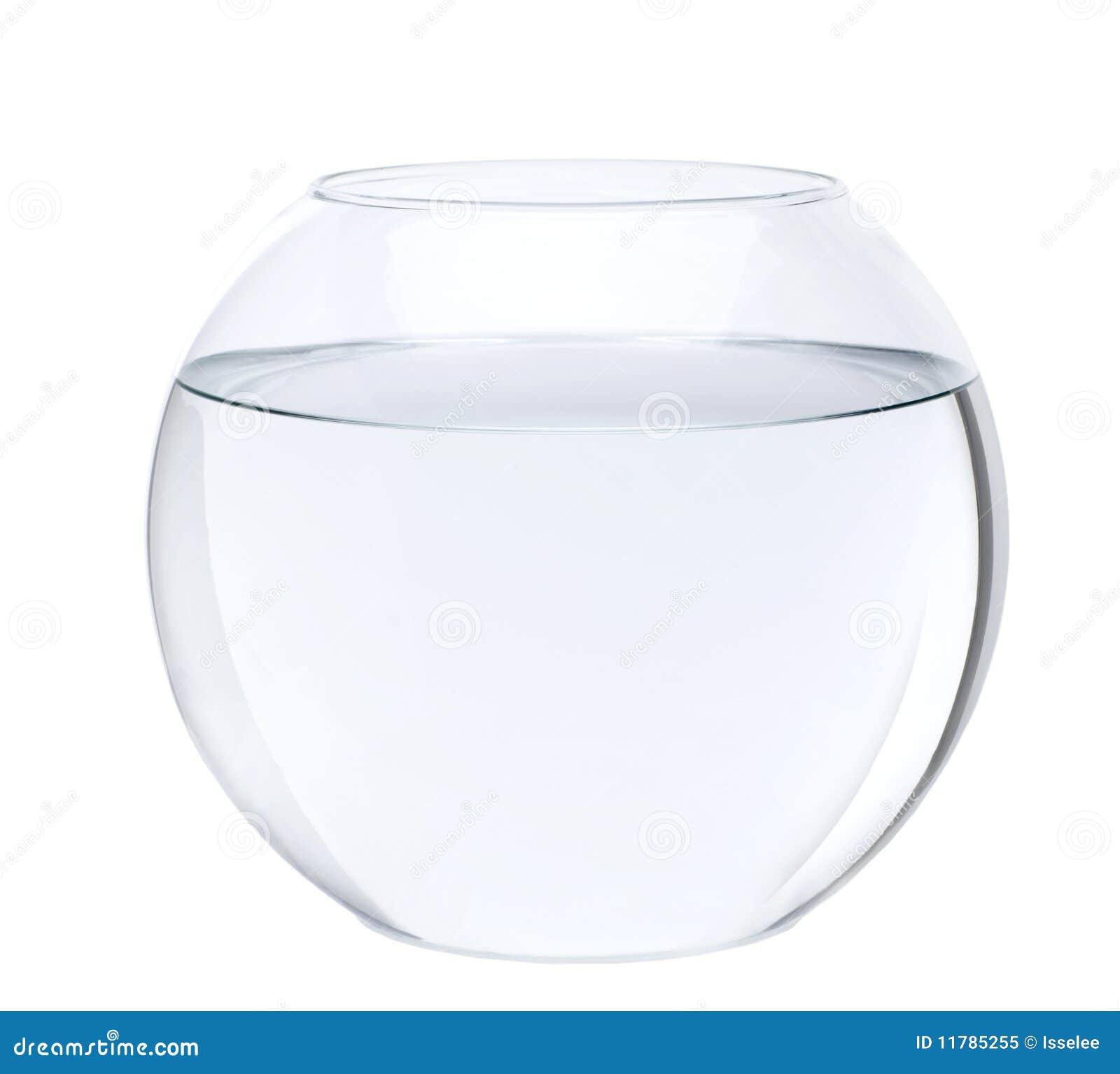 Fish Bowl with Water in Front of White Background Stock Image Image