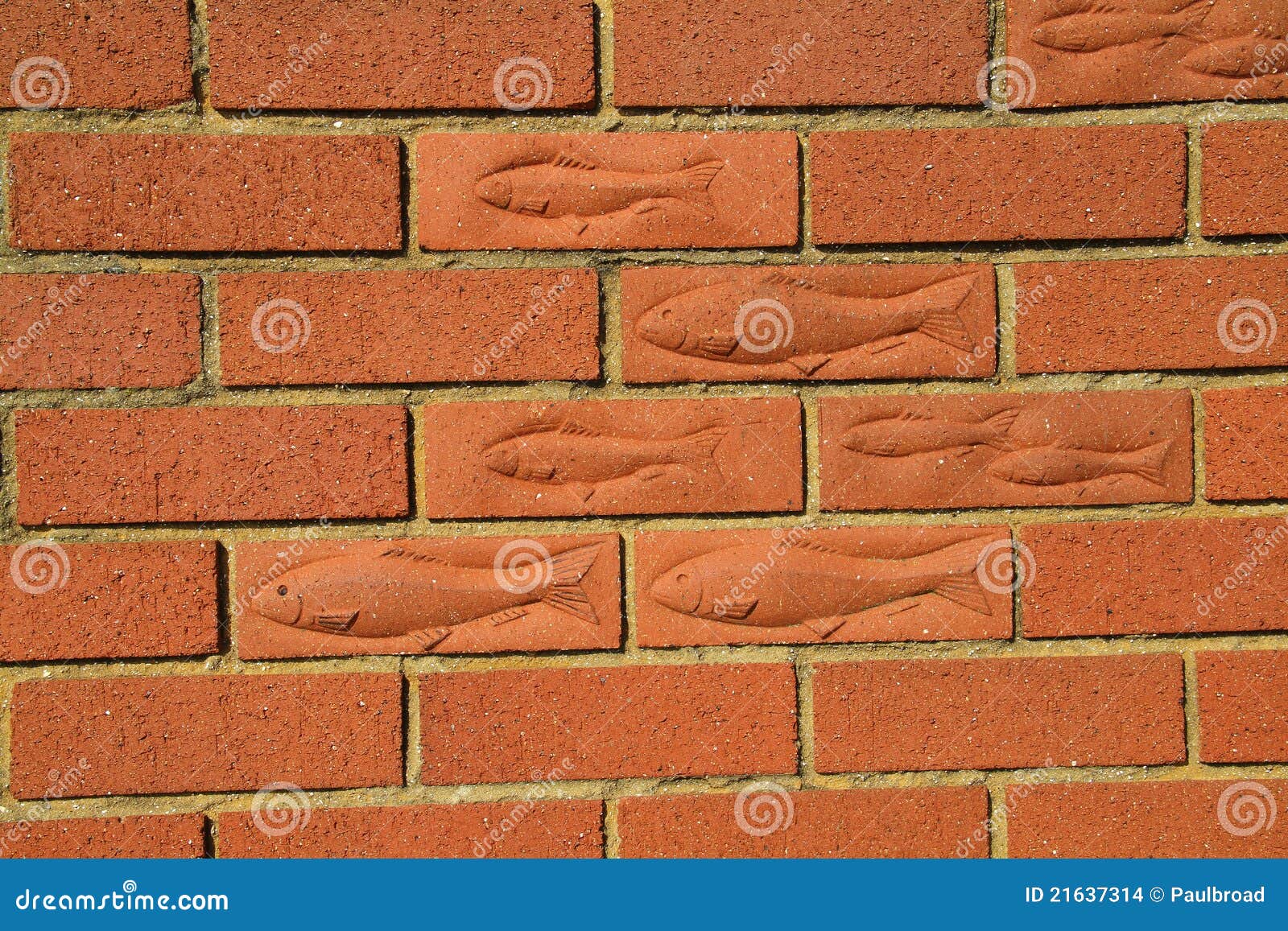 Fish bricks. stock photo. Image of wall, build, construct 21637314