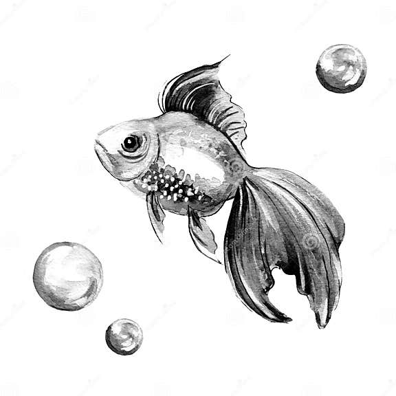 My Image 31