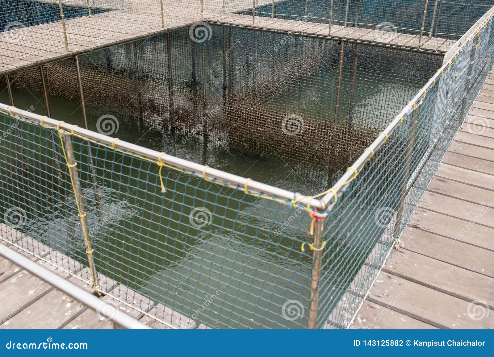 Fish Cage Floating in River Use for Raising Fish, Built with Blue Plastic  Barrels, Iron Pipes, Wood Planks and Net. Stock Photo - Image of aquaculture,  fisherman: 143125882