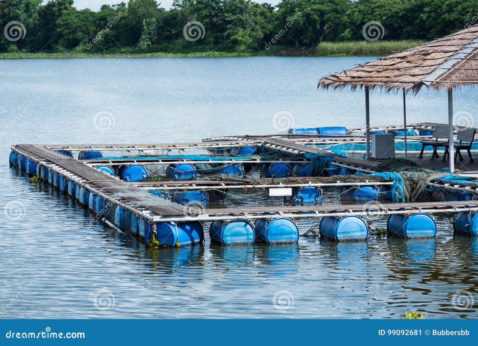 Fish Cage in River.Thailand. Stock Image - Image of landscape, lake:  99092681