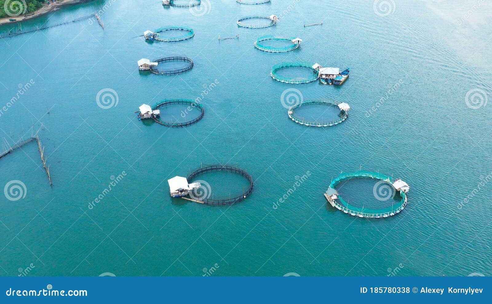 Fisheries on Luzon Island, Philippines. Fish Farm, Top View. Stock Photo -  Image of business, blue: 185780338