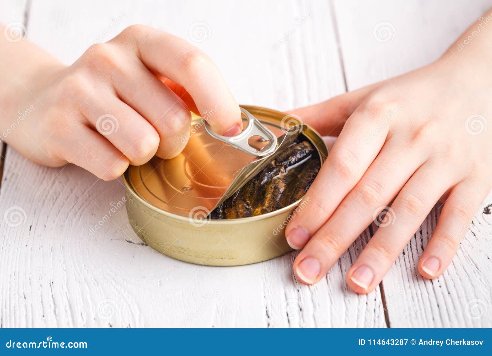 Fish Can with Small Fishes in Oil Stock Image Image of canned
