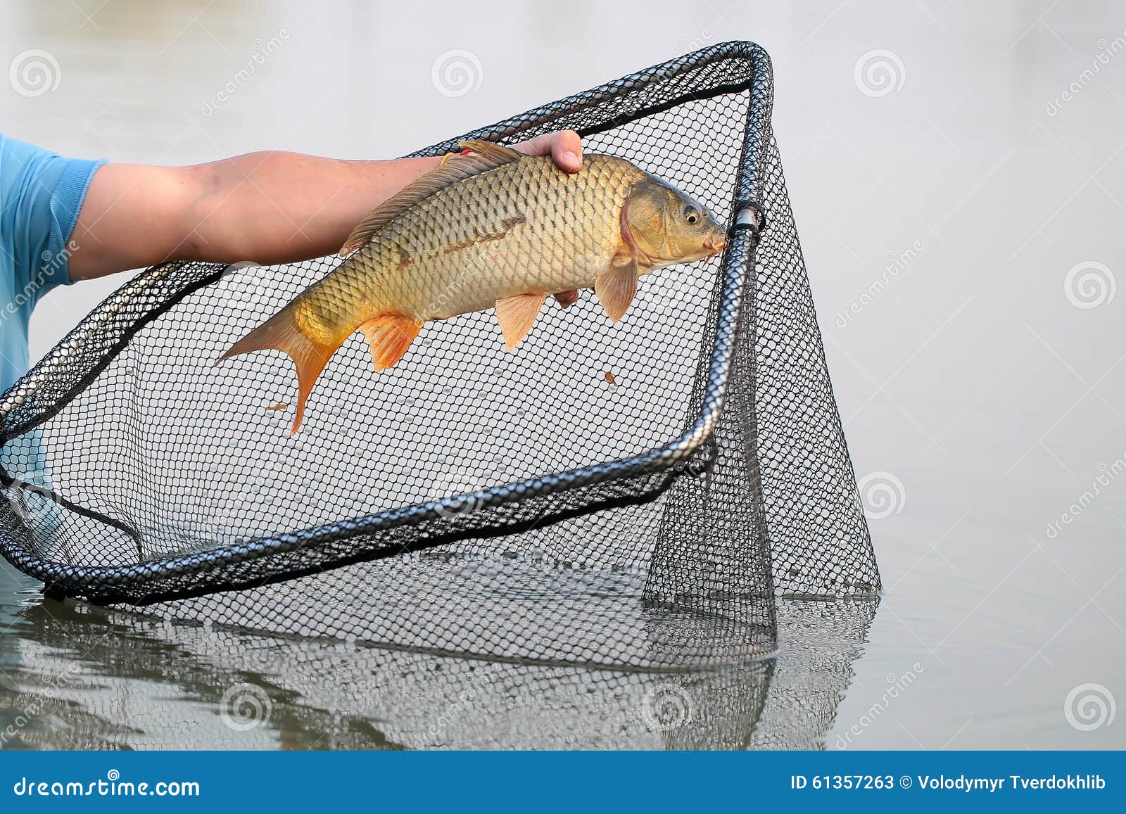 Fish catch and dip net stock image. Image of ripple, line - 61357263