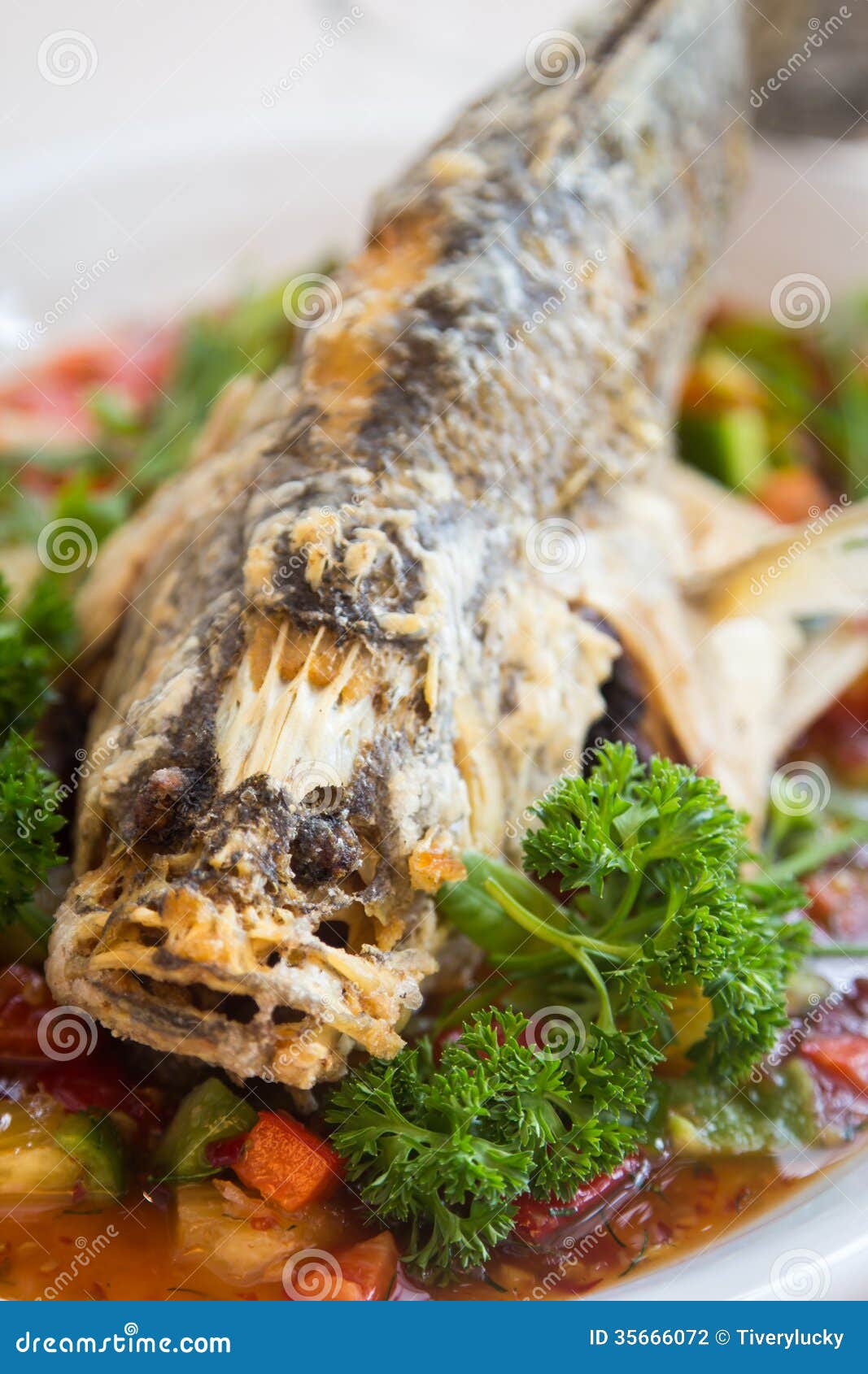 Fish Chili Sauce stock photo. Image of lunch, food, chilis 35666072