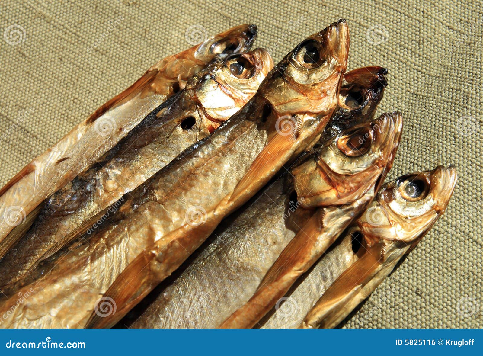 Fish of cold smoking stock photo. Image of delicacy, fresh 5825116