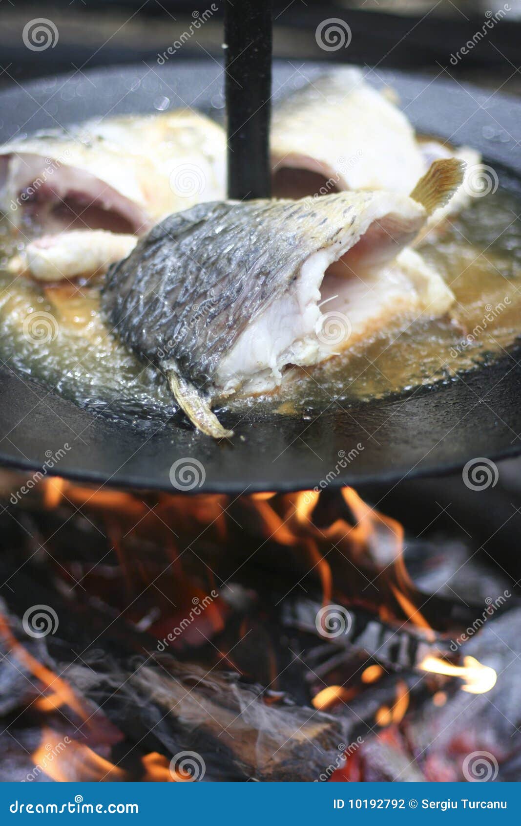 Fish Cooking On Open Fire Stock Photography Image 10192792