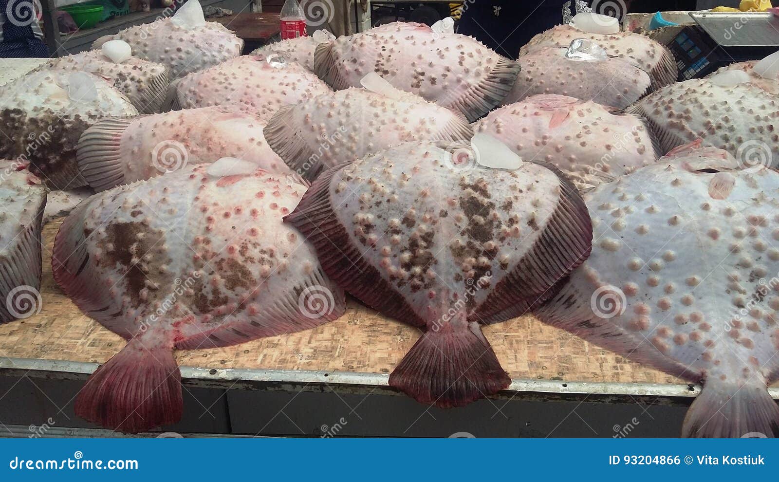Fish on the counter. stock photo. Image of food, cold 93204866