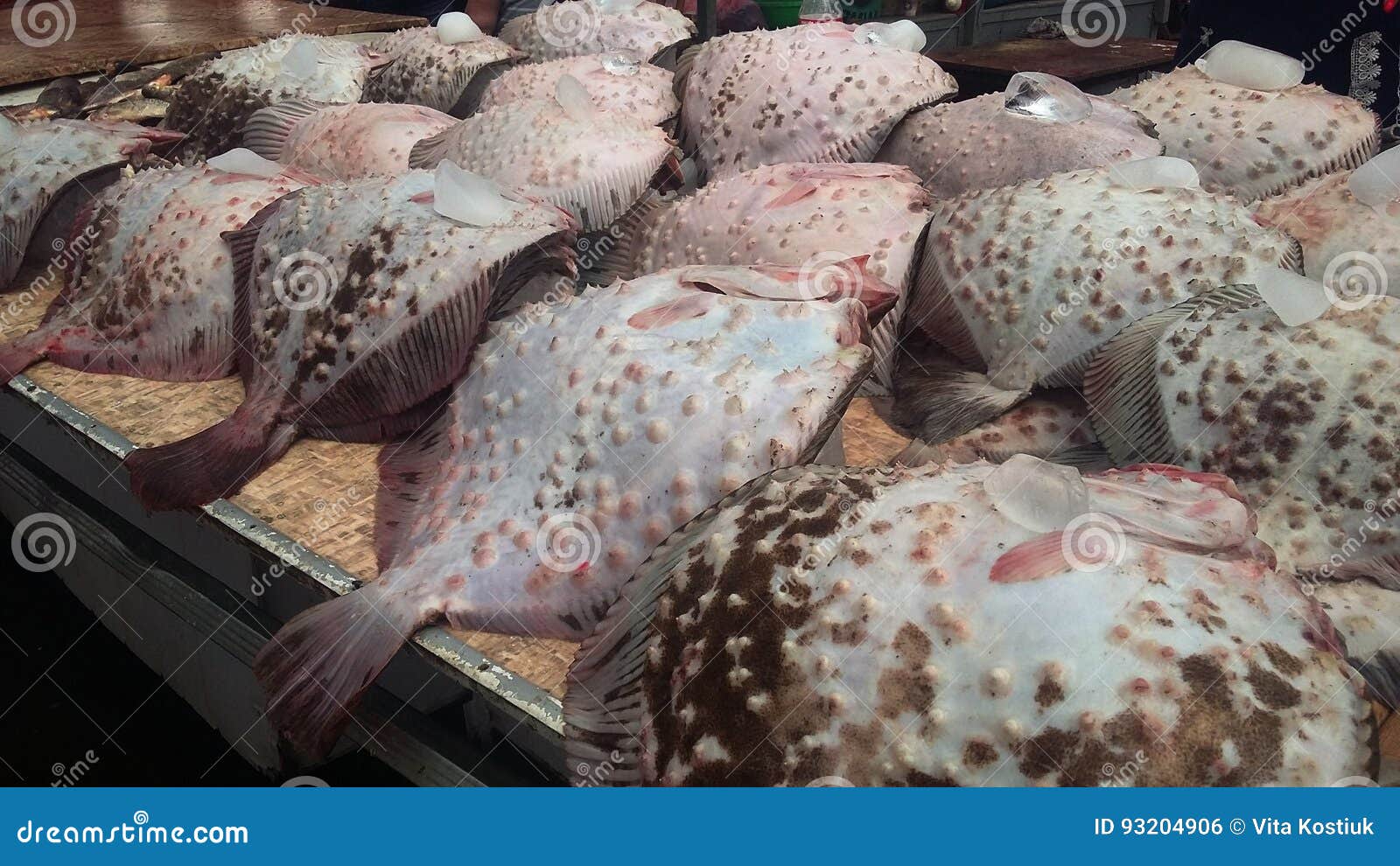 Fish on the counter. stock photo. Image of nutrition 93204906