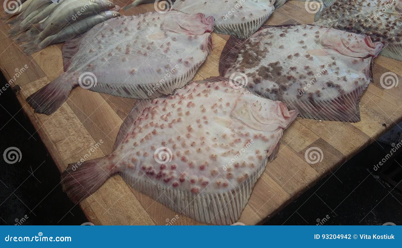 Fish on the counter. stock photo. Image of gourmet, delicious 93204942