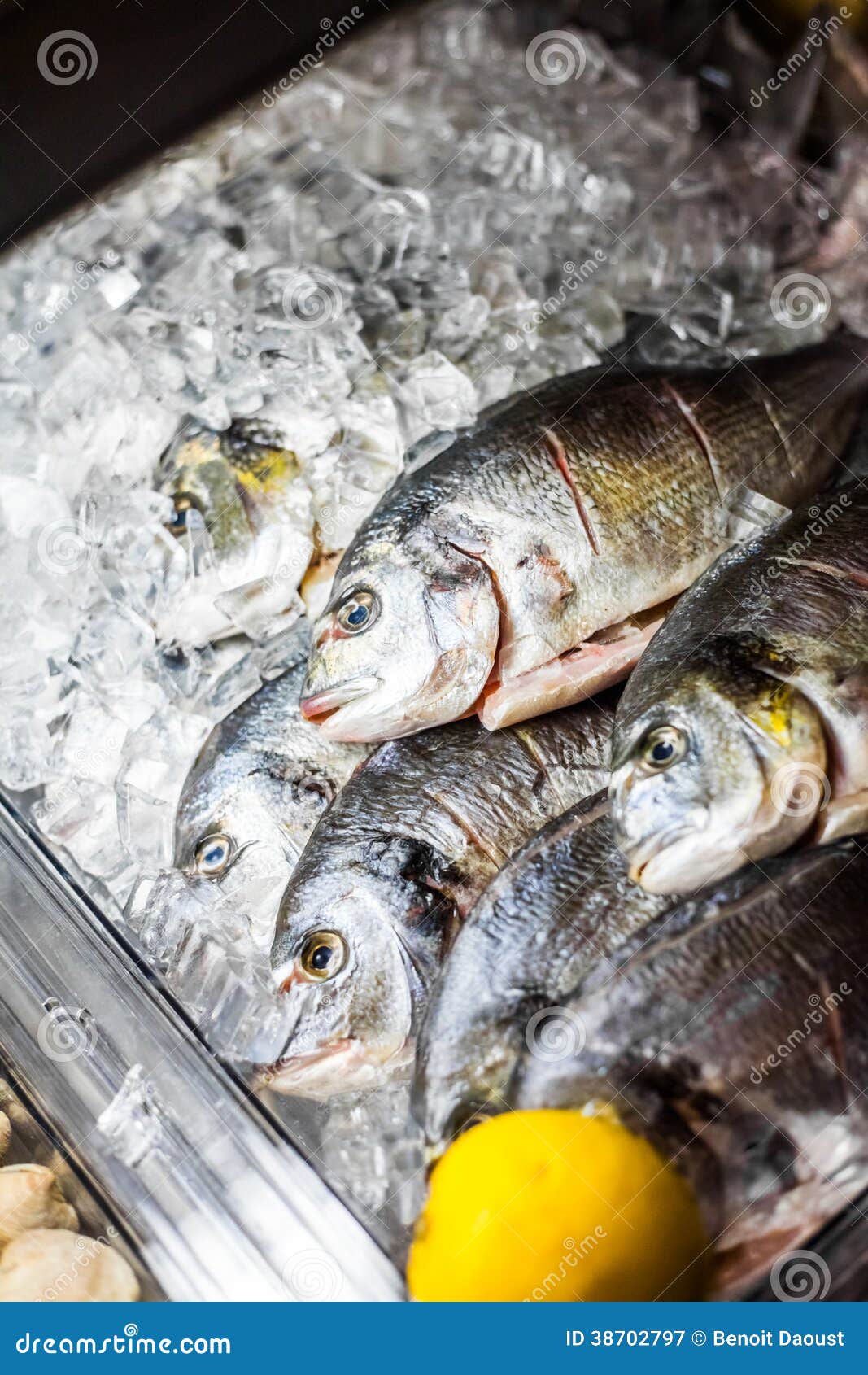 Fish Counter stock image. Image of aurata, fresh, mediterranean 38702797