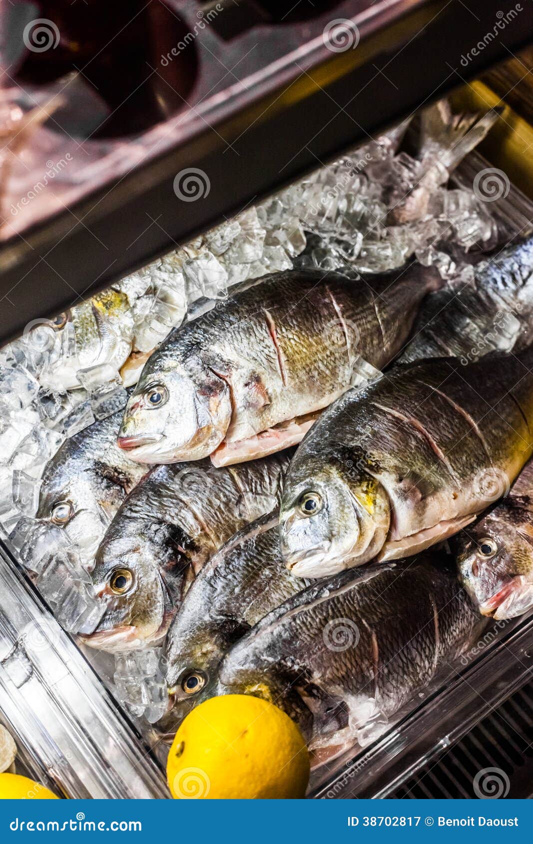 Fish Counter stock image. Image of frozen, counter, head 38702817
