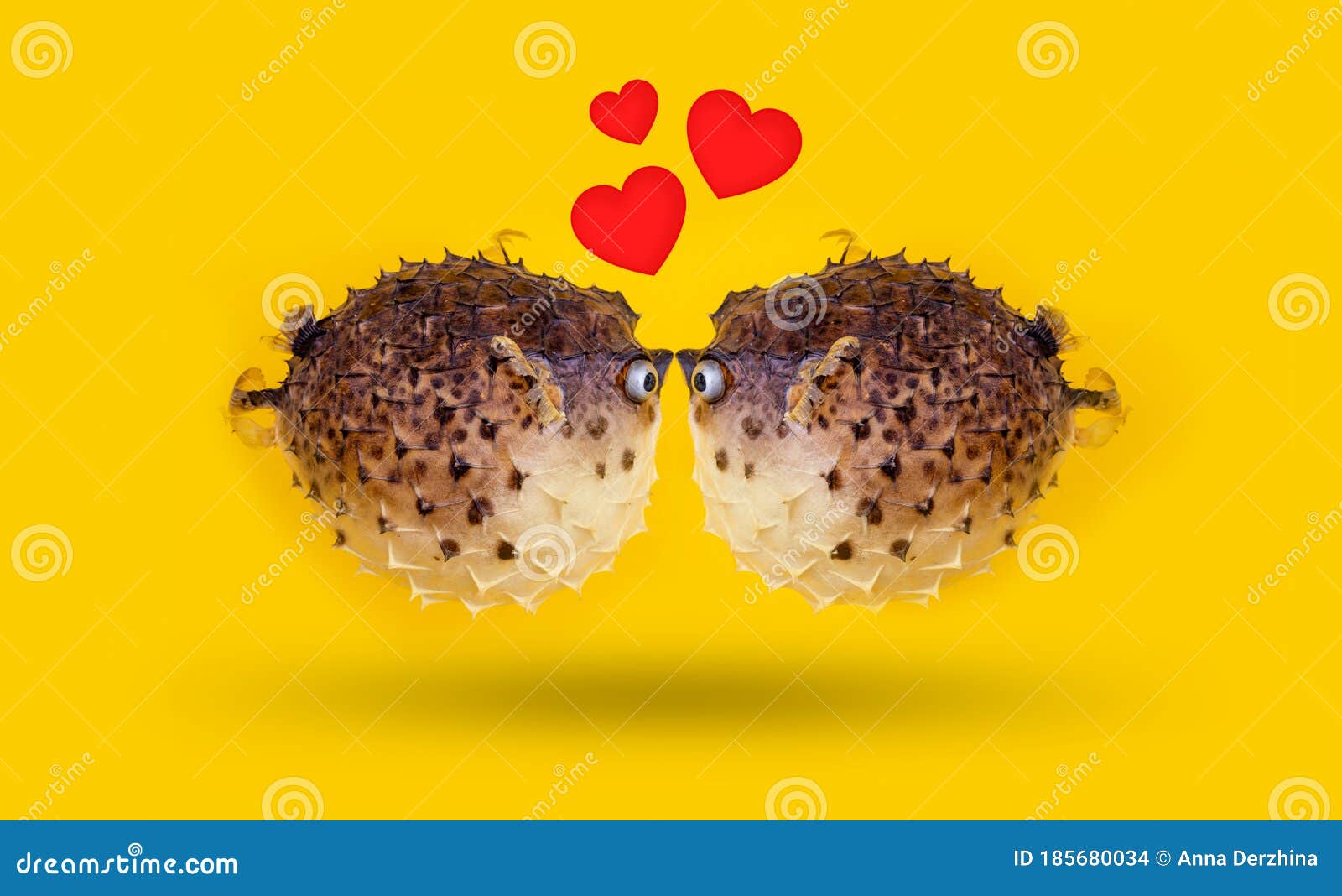 Fish Couple with Small Hearts from Kiss. Stock Photo - Image of funny,  greeting: 185680034